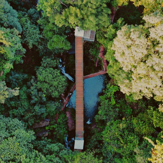 anand mahindra tweet media