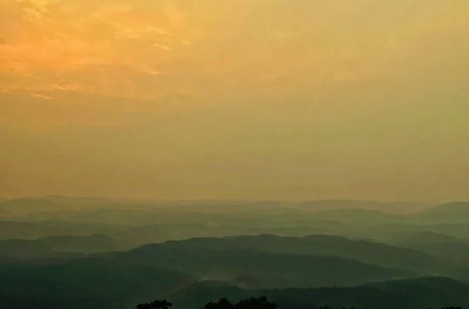 anand mahindra tweet media