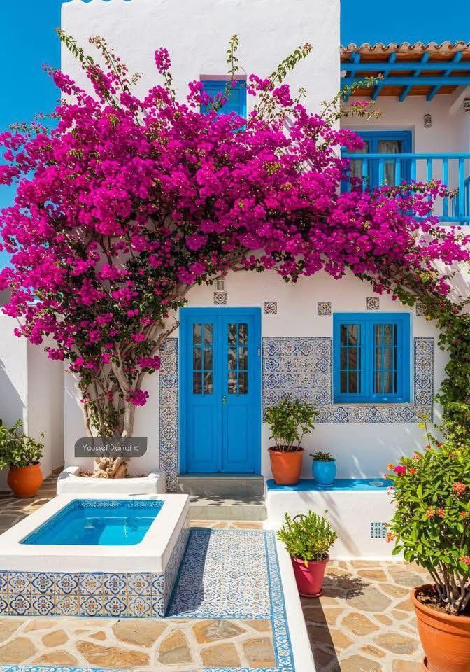 Ahmet Güzel tweet media