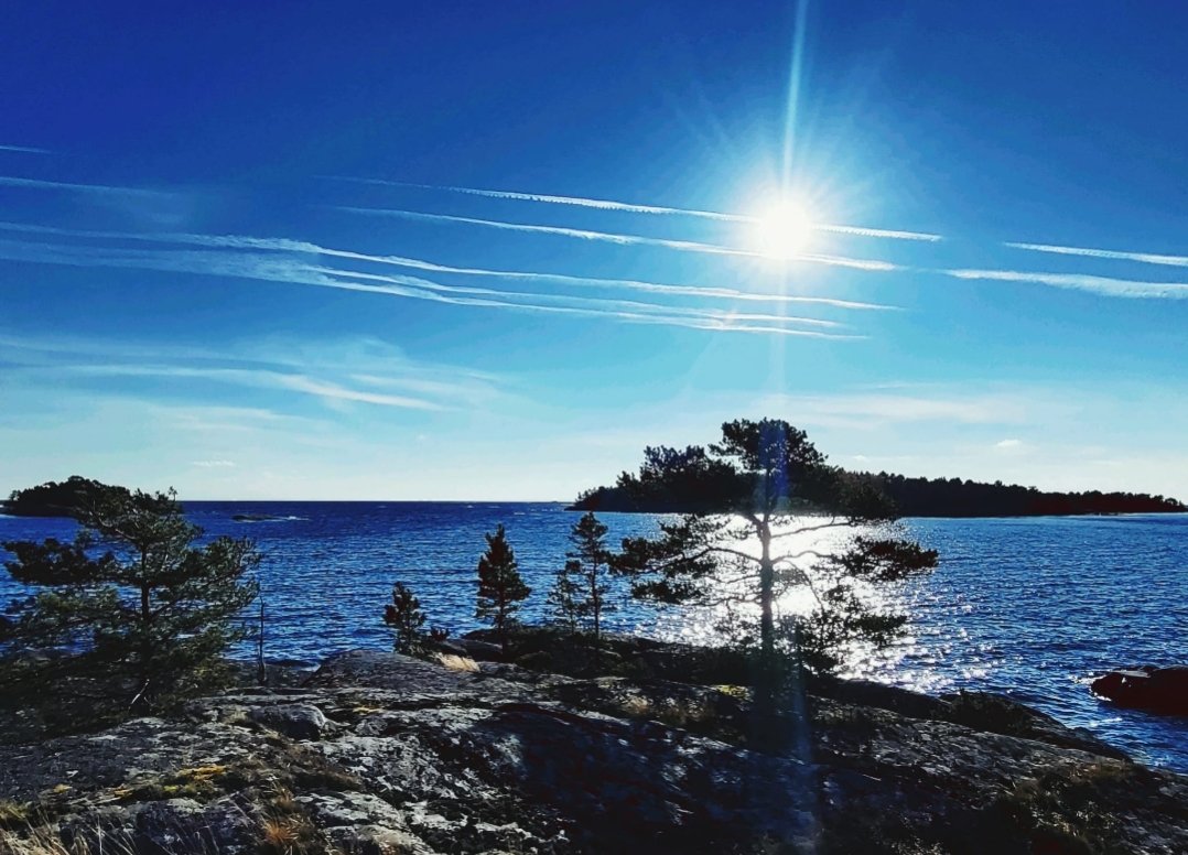 Michail Fokin⚓️ tweet media