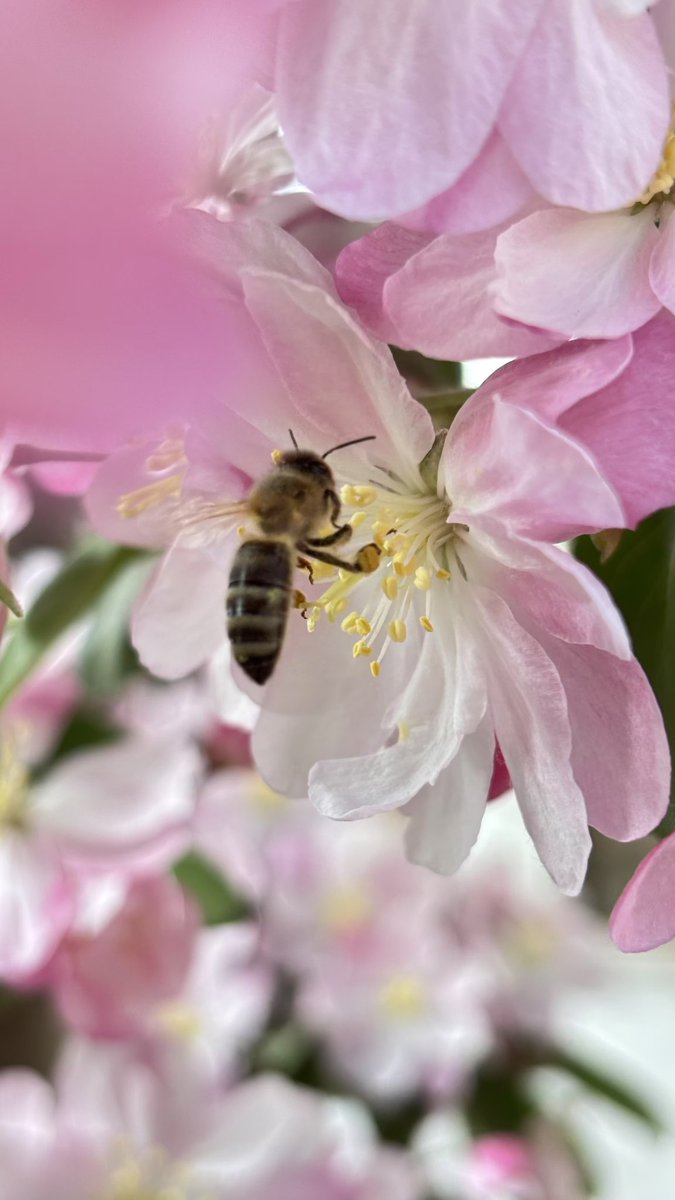 Yisablank（互fo互赞互评冲粉5000） tweet media