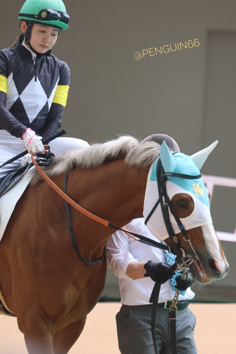 ぺんぎんさん🐧 tweet media