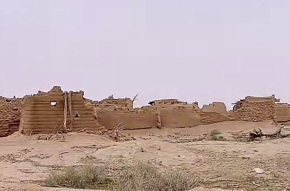 راشد tweet media