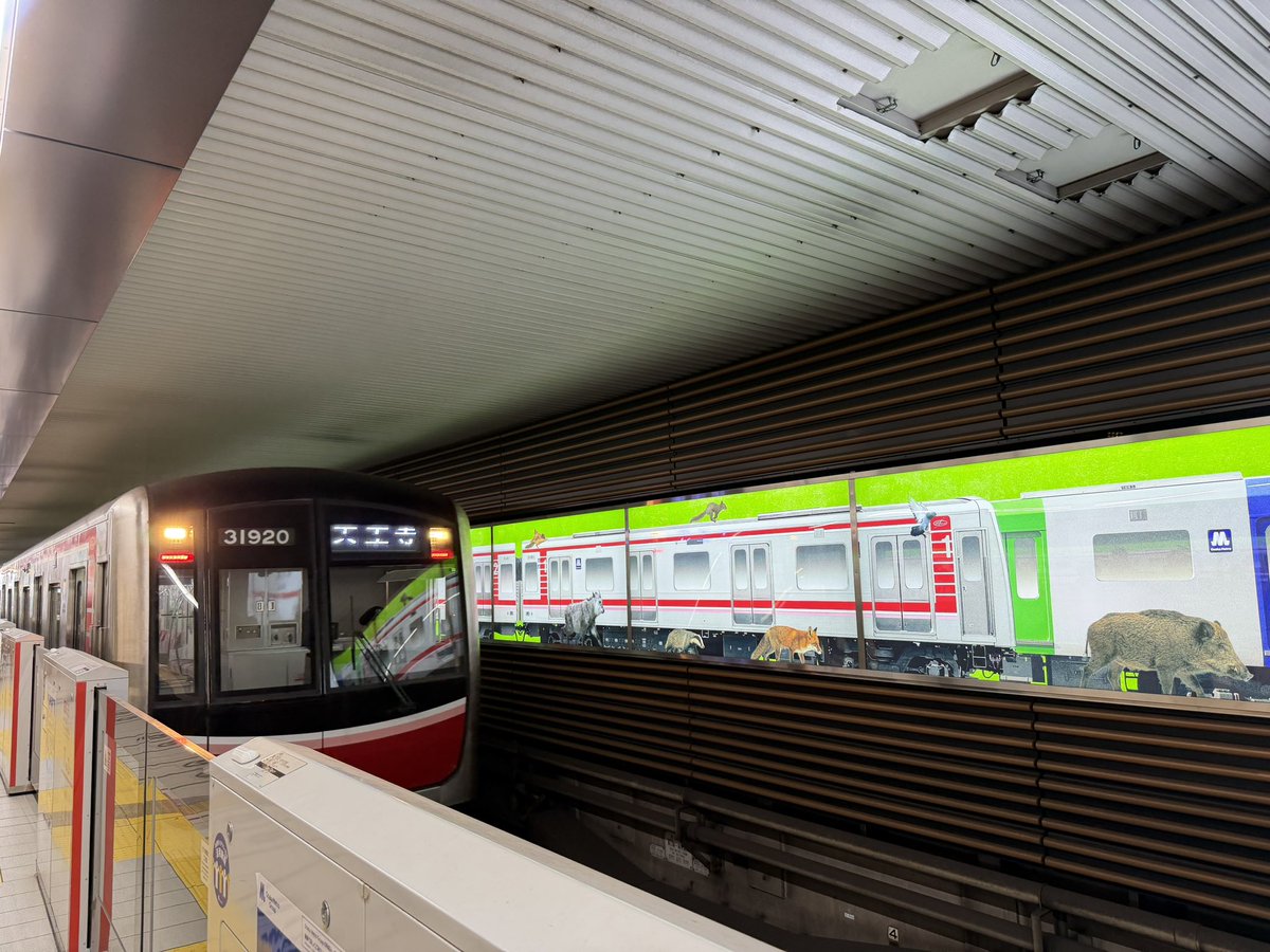 K Hishikawa tweet media