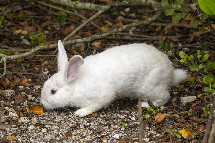 Branch Floridian tweet media