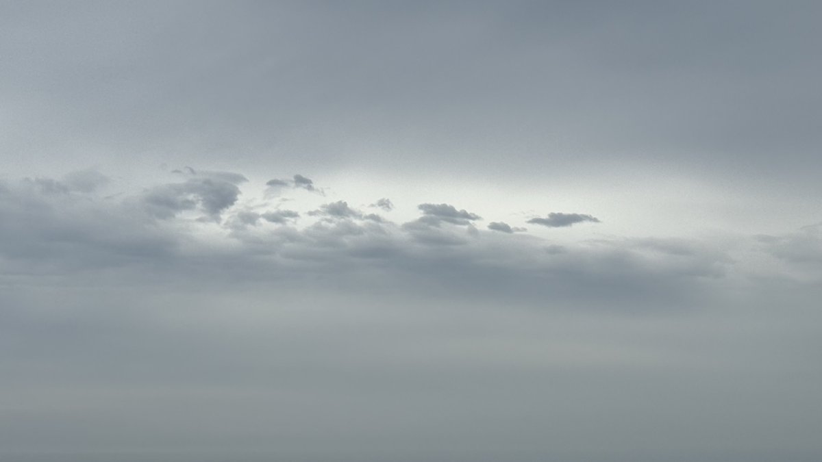 ユスラ 🎨✨ tweet media