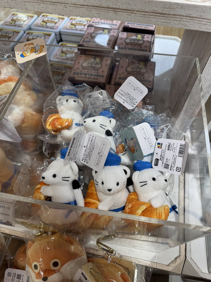 普通のジェラマネ@黒ウィズ tweet media