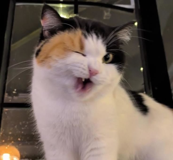 Focus on SANTA Myanmar 🇲🇲 tweet media