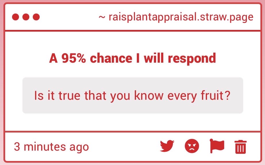 Rai Mamezuku tweet media