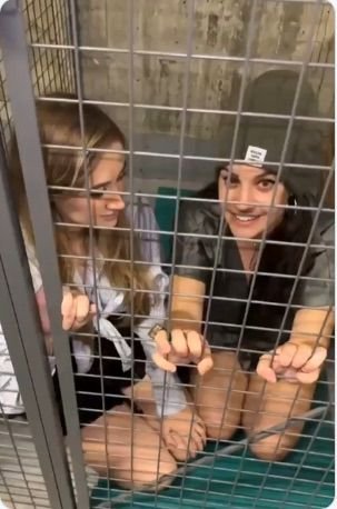 KELLY 🌺 tweet media