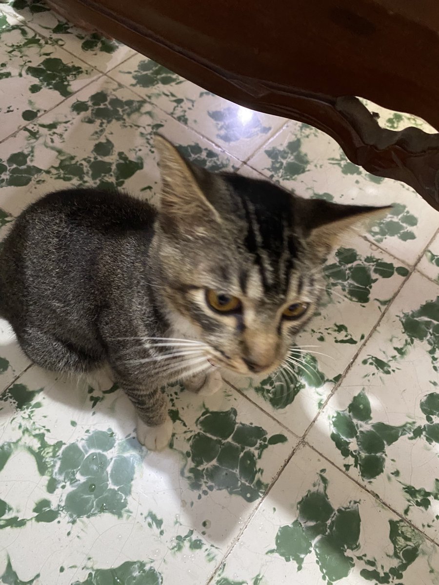 Marchi :3 tweet media