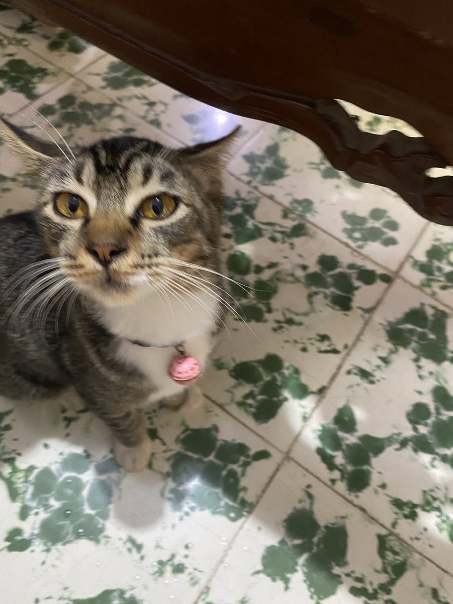 Marchi :3 tweet media