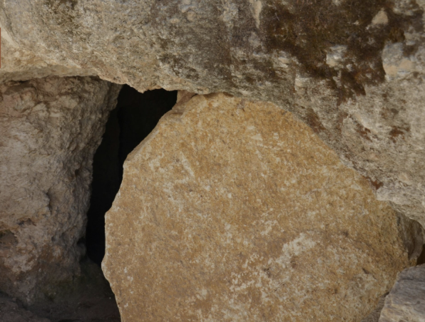 Aquila Report tweet media