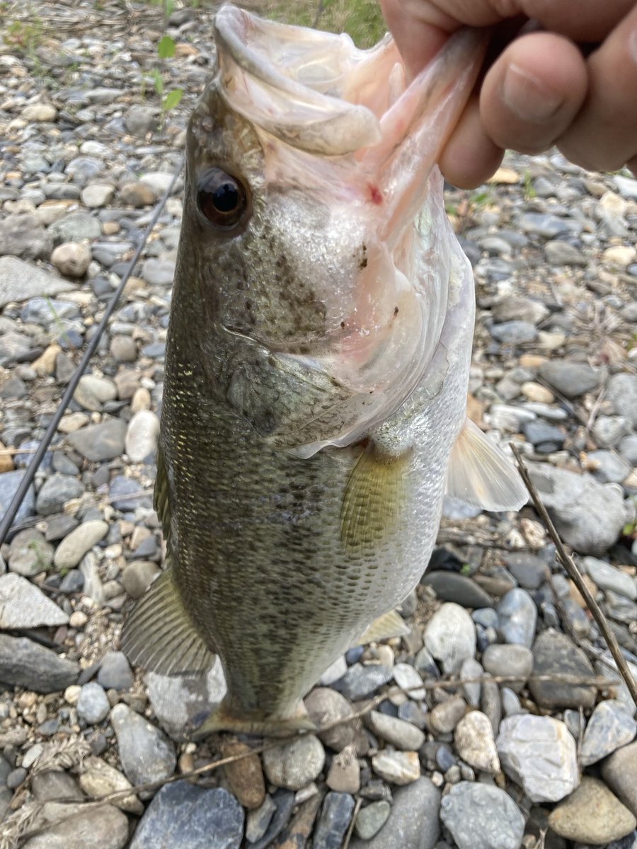 お菓子屋TETSU tweet media