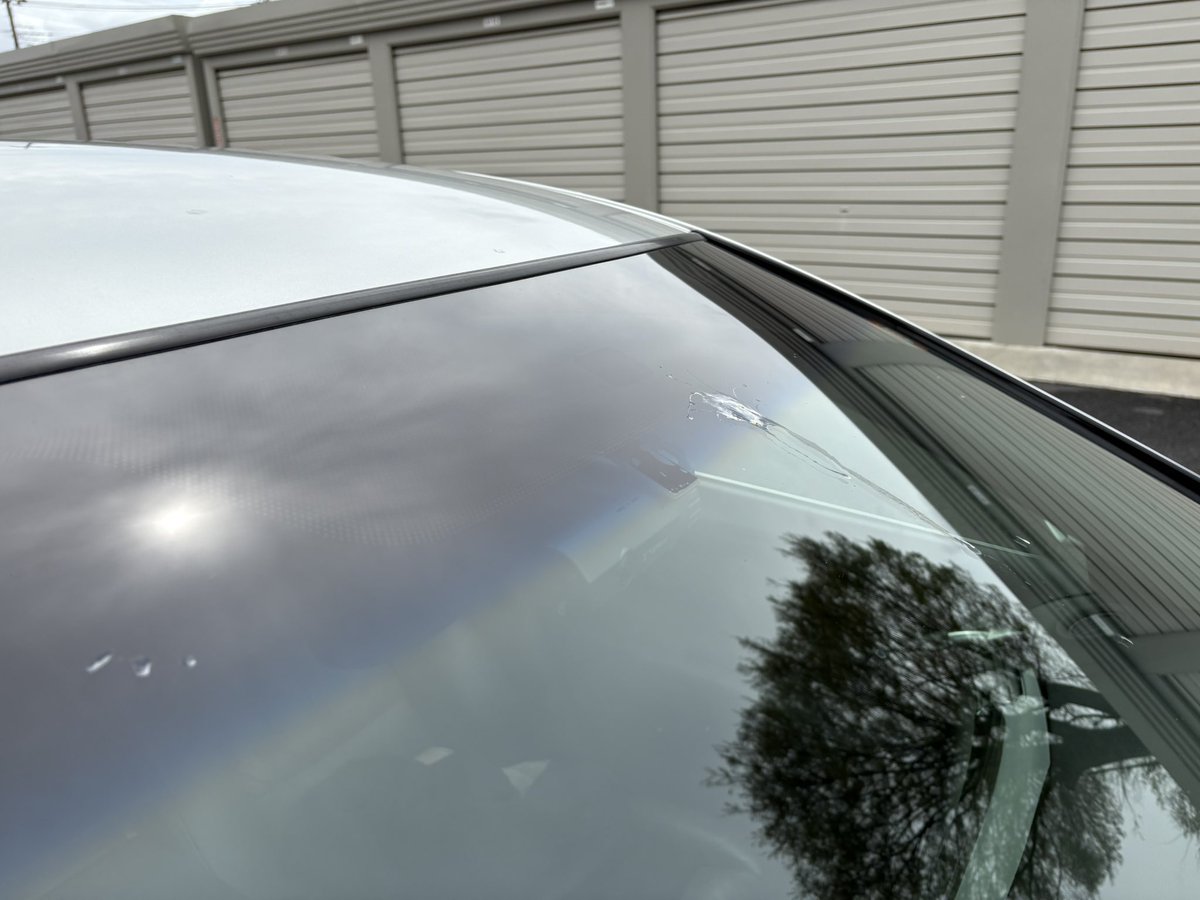 ぬのせ tweet media