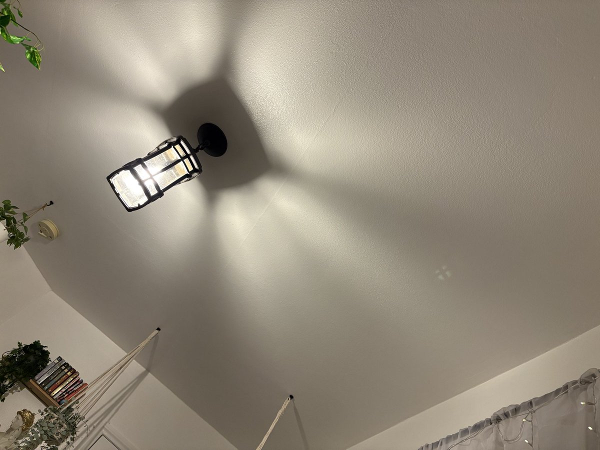 ouraclaude 🪽🌼☁️ tweet media