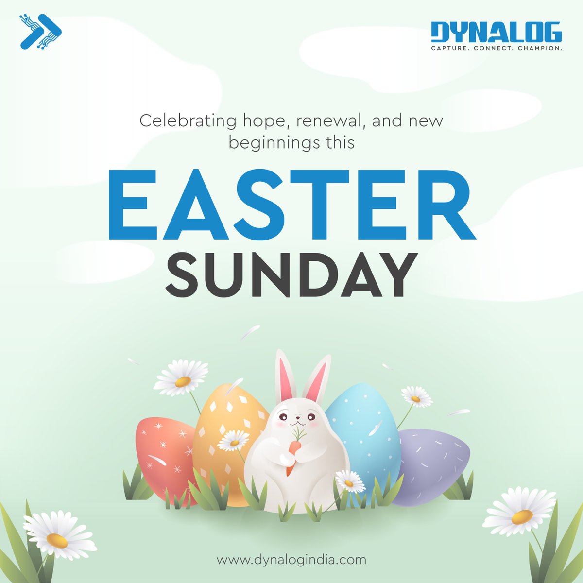 dynalogindia tweet media