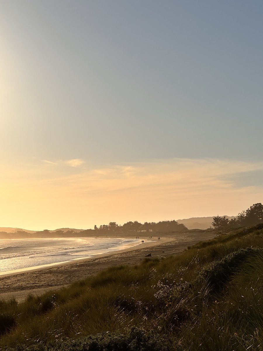 Craig Aucutt tweet media