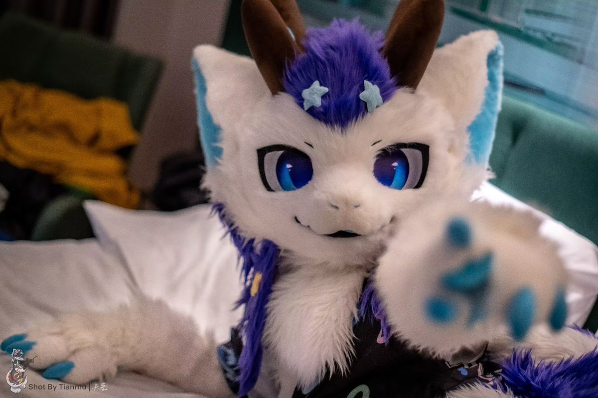 星翊小白龙✨ tweet media