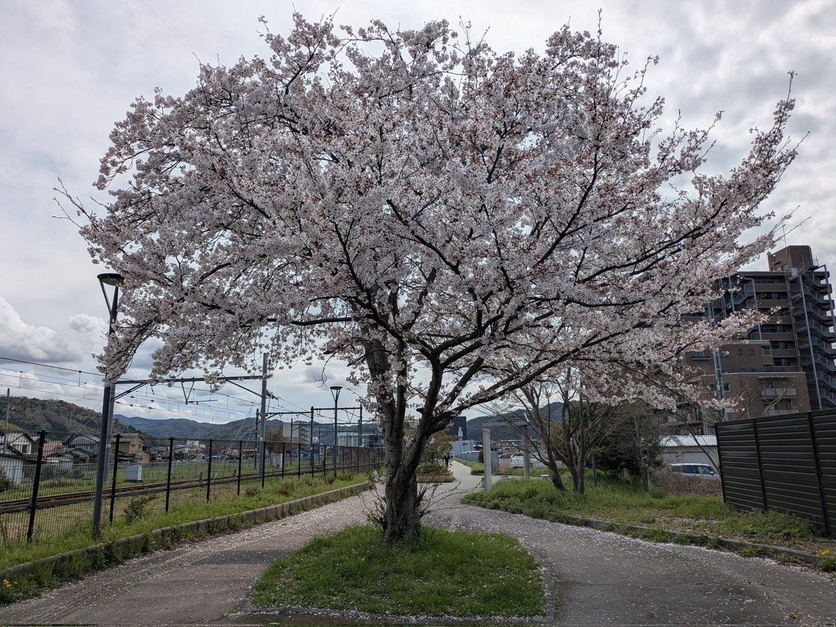 Sasuke🍃 tweet media