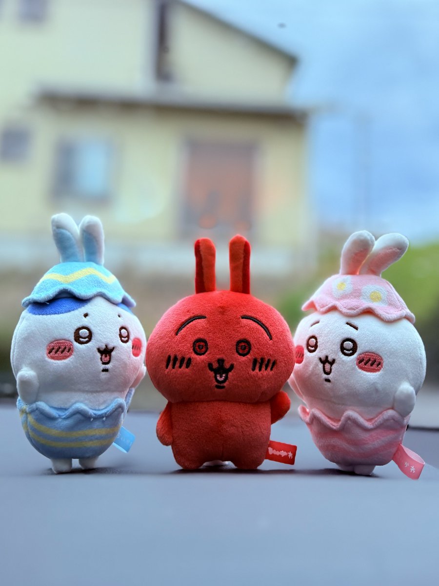 SHO（セクシーいけだ） tweet media