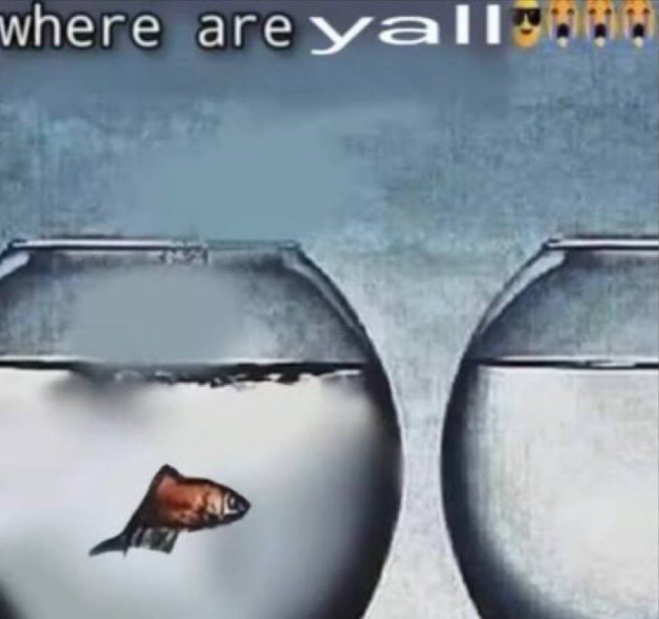 𝜗𝜚 ࣪˖ ִ𐙚 tweet media