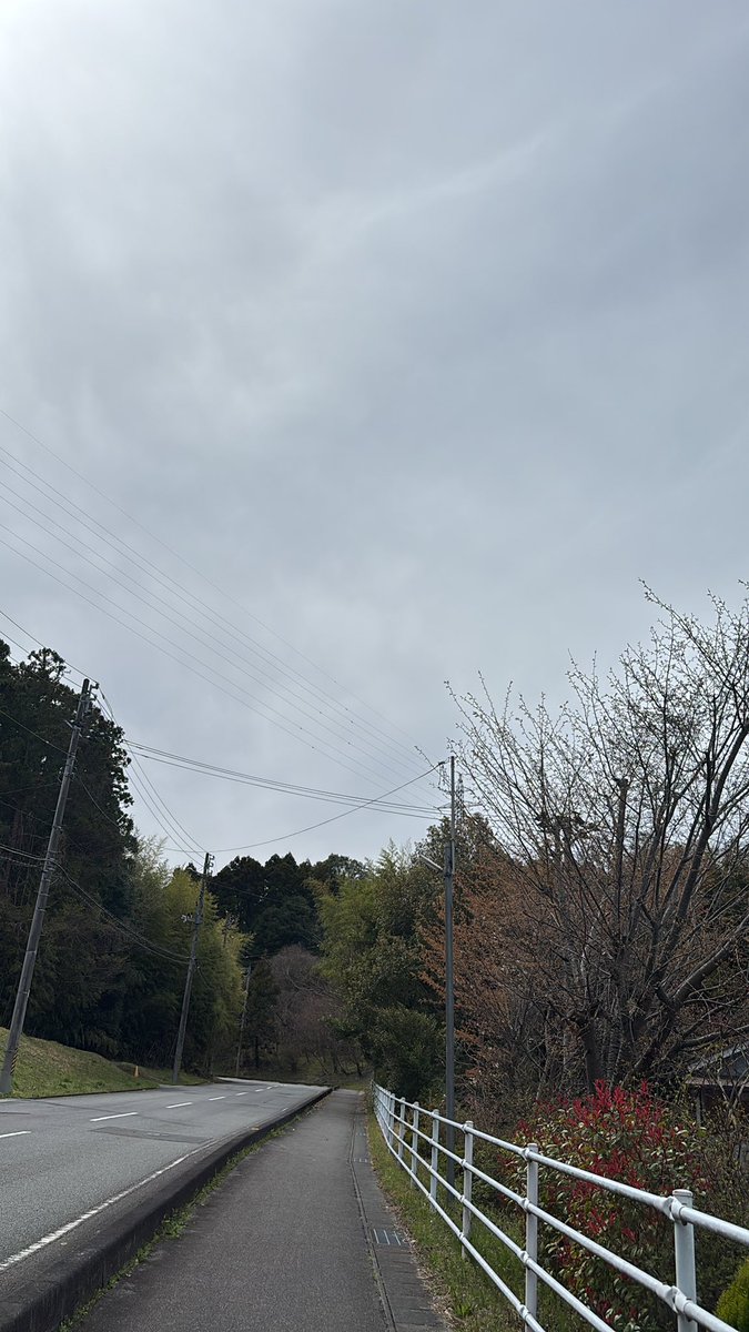 ٩(•ө•)۶ﾁｬﾋﾟ♪ tweet media