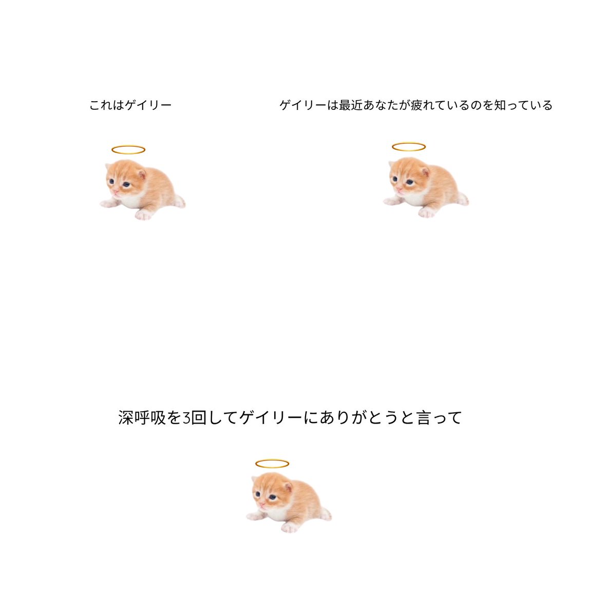 ゲイリー tweet media