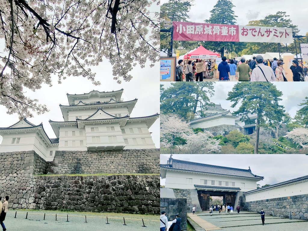 堕天使うみねこ😈 tweet media