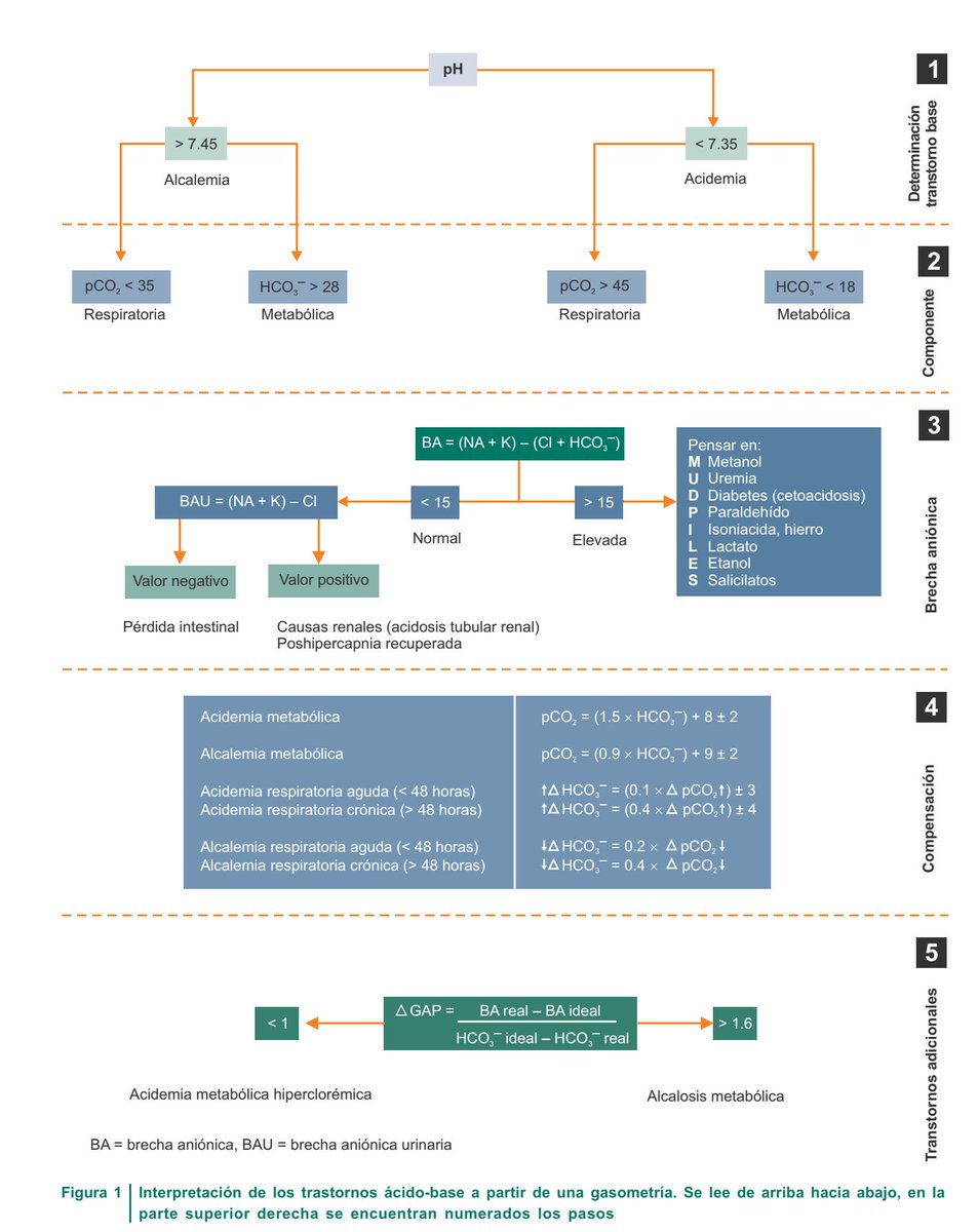 📌INTERPRETACIÓN  DE  UNA  GASOMETRÍA  EN  5  PASOS

#ENARM_INTENSIVO #ESTUDIA_MEDICINA