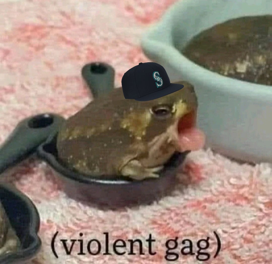 Ashley Springsteen tweet media