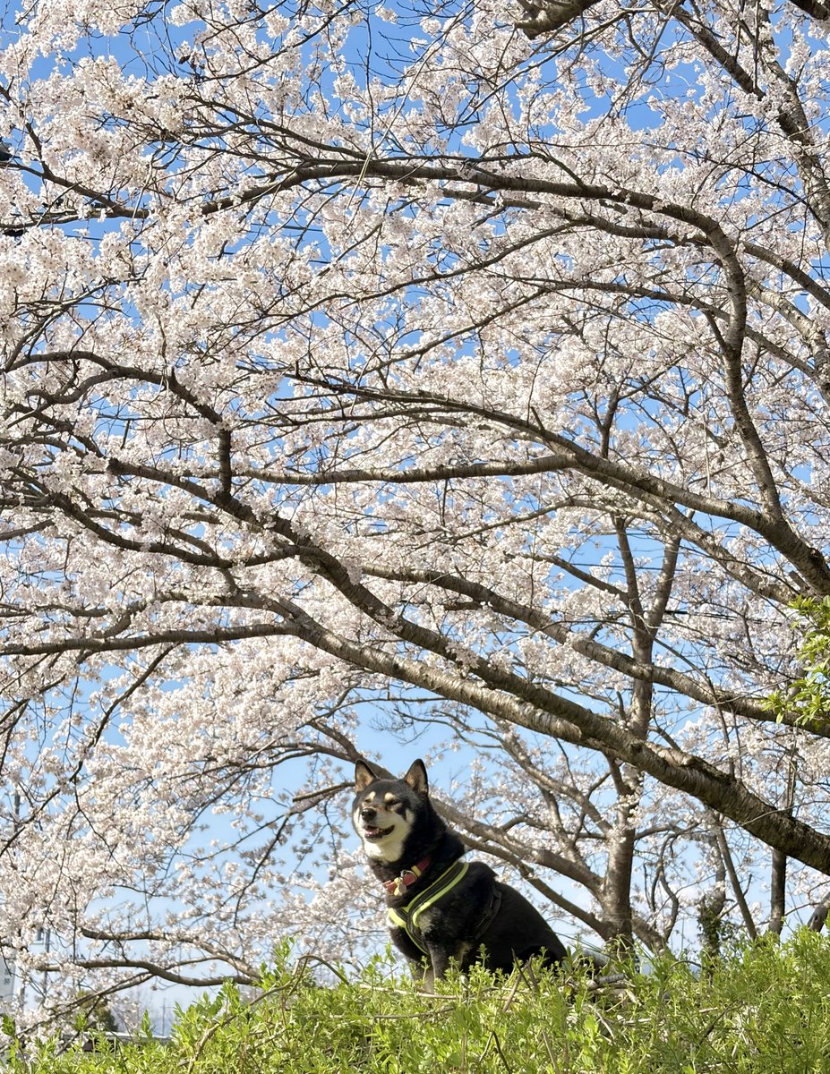 アクアライフ山田 tweet media