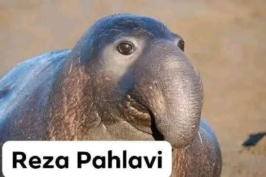 Devils In bloody death tweet media