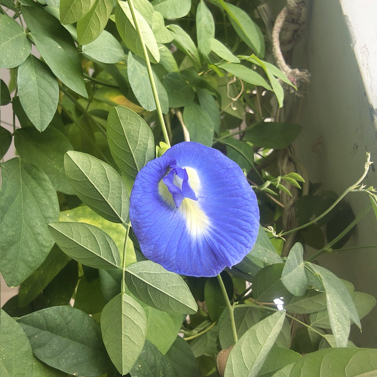 ||✍...@र्जुન||.™ tweet media