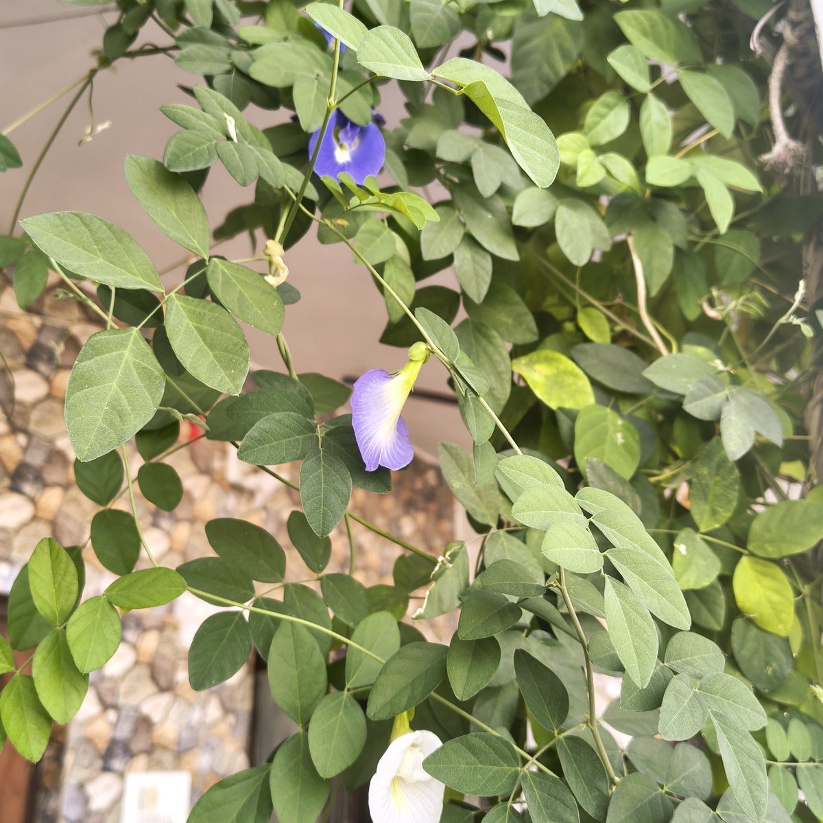 ||✍...@र्जुન||.™ tweet media