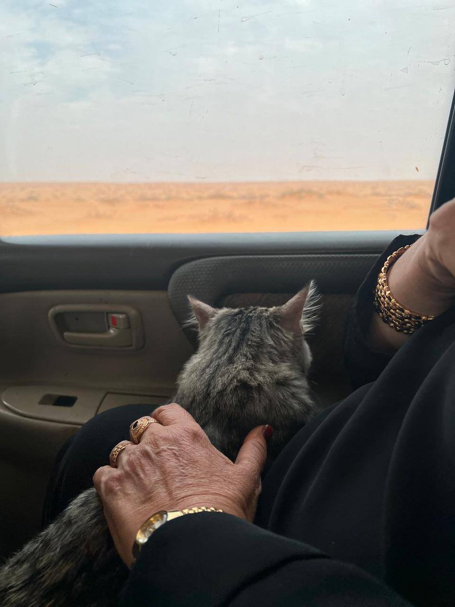 قس بن ساعدة tweet media