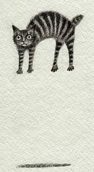 きゃしー(岩田オクトパス) tweet media