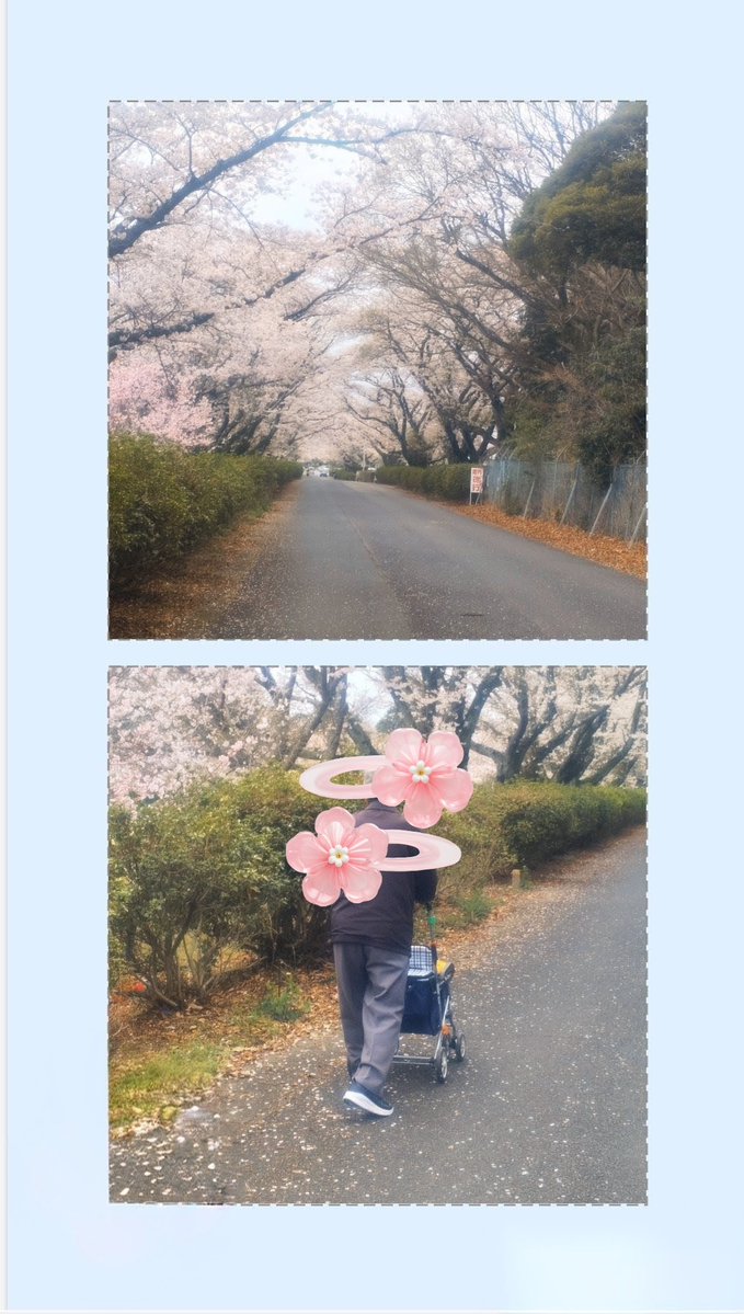 のんすけ tweet media