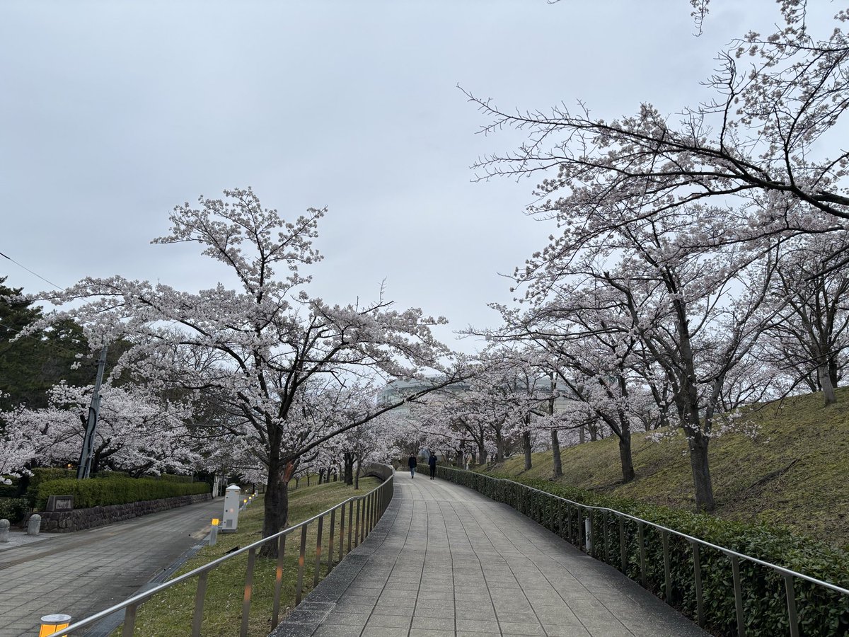 めぎゅ tweet media