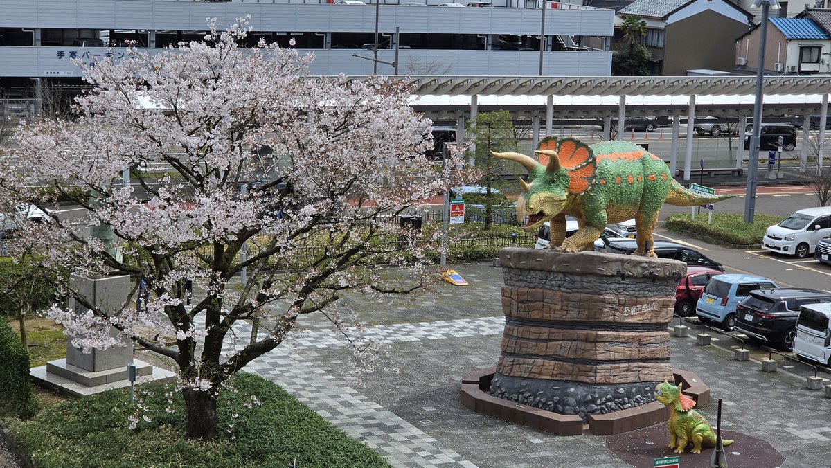 LYNX/レイにぃ☂ tweet media