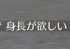 C®꧂ANGEL®Chiyomi tweet media