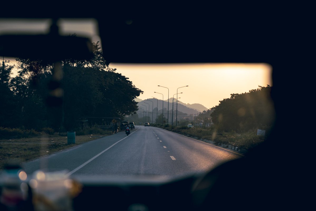 🐝 Bee 🐝 tweet media