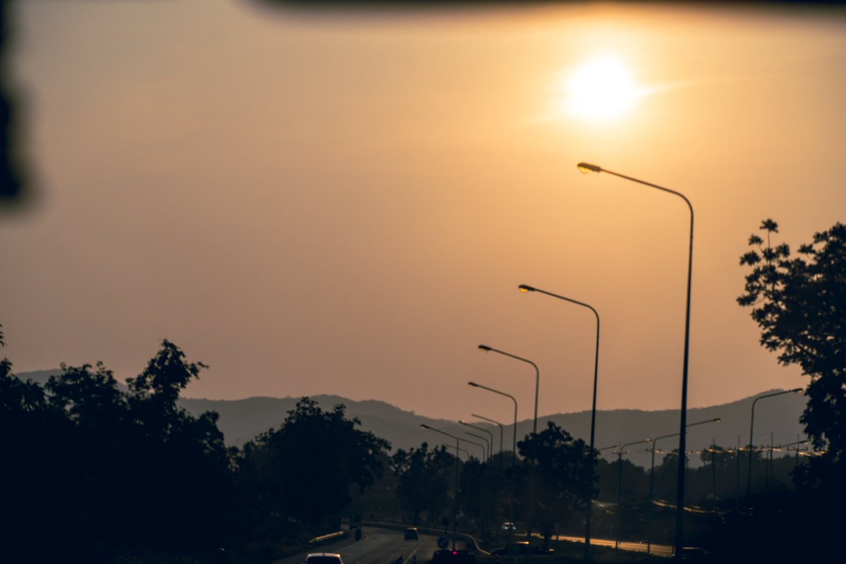 🐝 Bee 🐝 tweet media