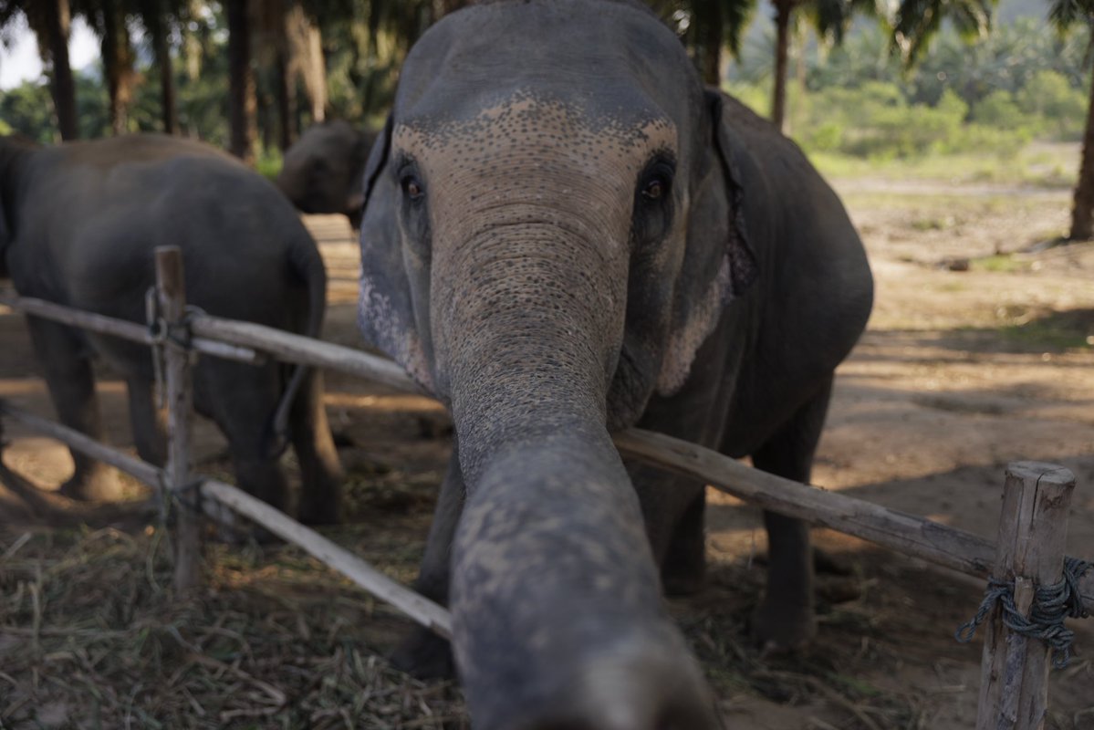 🐝 Bee 🐝 tweet media