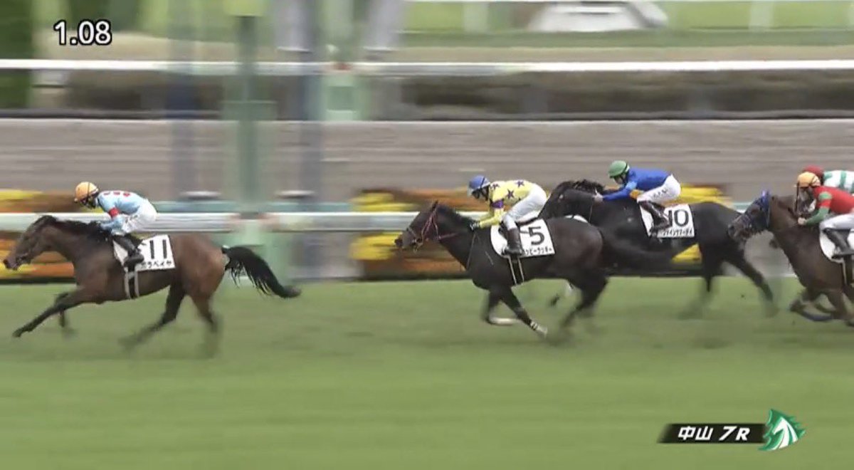 えり@一口馬主(シルク/ サンデー/ノルマン/DMM/キャロット) tweet media