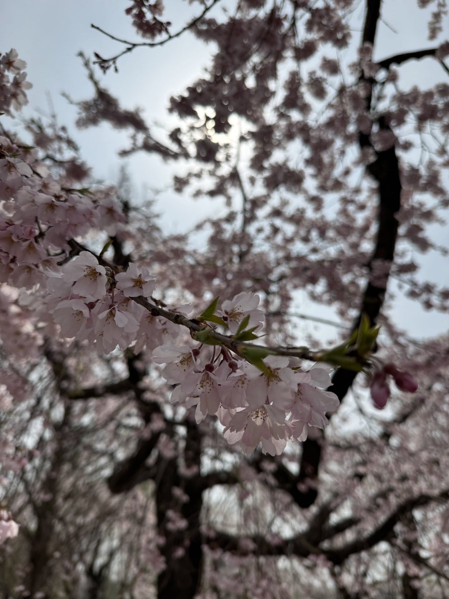 FIT.PILOT tweet media