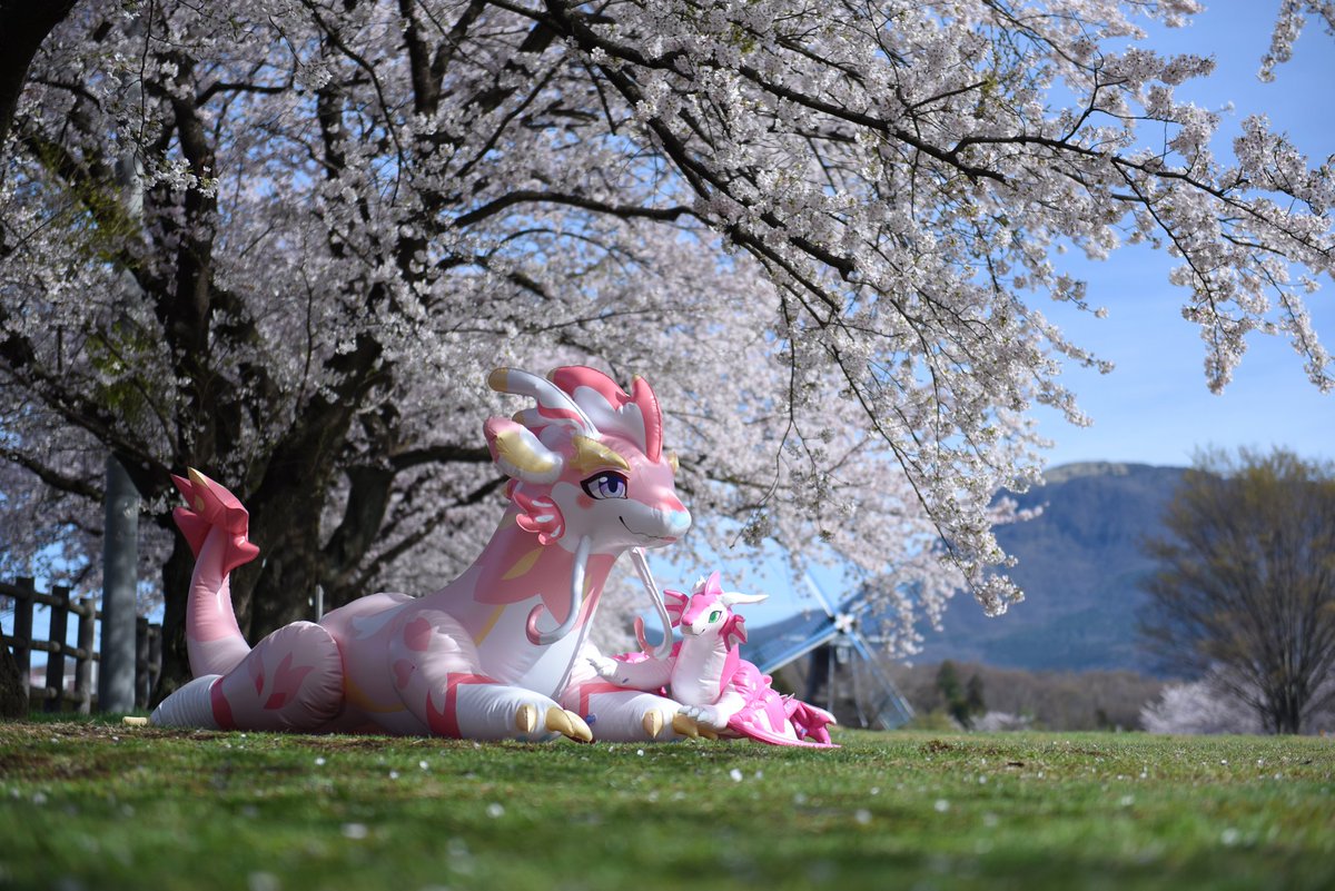 ロホ・ハンセル tweet media