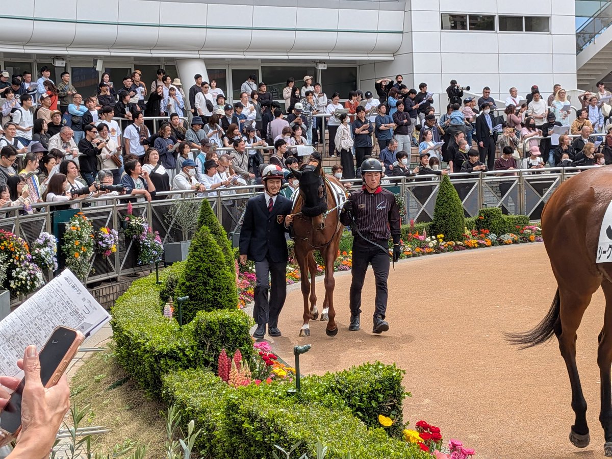 だいき tweet media