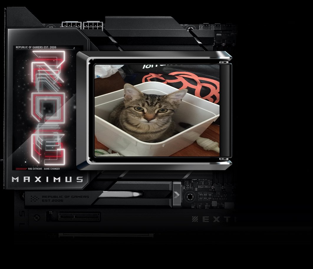 RyMit99's tweet photo. Benny😎 
@brooke_corbey @ASUS_ROG #UpgradeWhatMatters #ASUS #X870 #Z890 #B860 #B850 https://t.co/oRqk2c3TA5