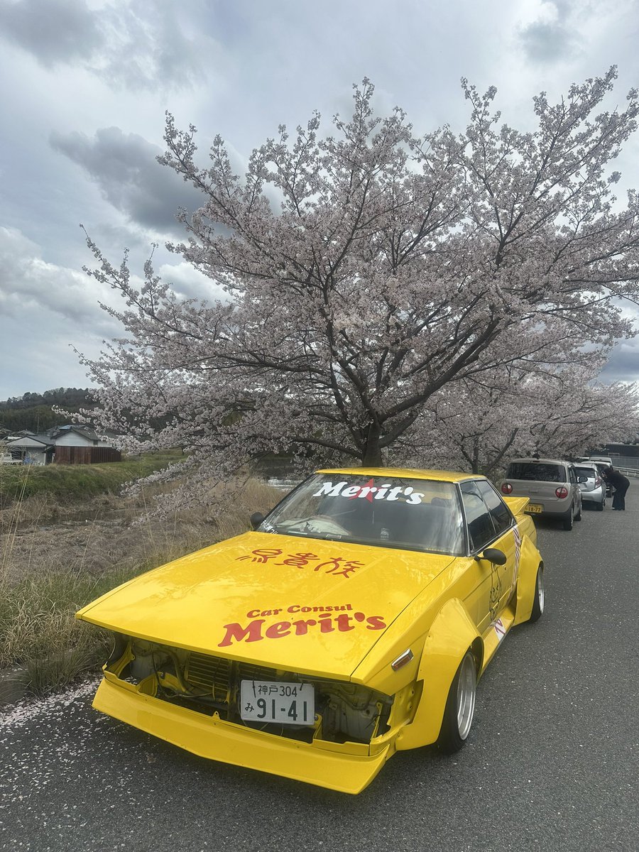TomTomC32's tweet photo. 🌸と📷ってきた
天気微妙 https://t.co/UaDejfZCvQ